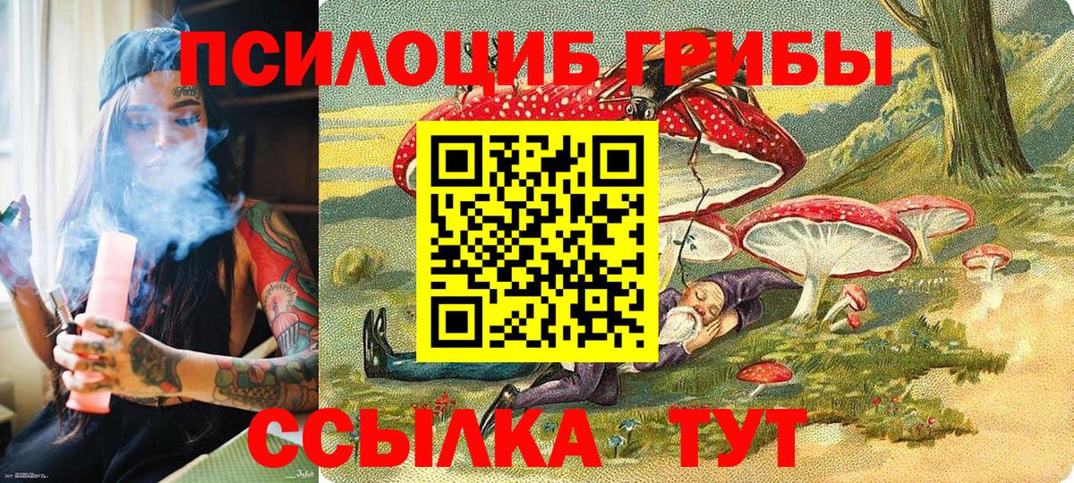 Псилоцибиновые грибы MAGIC MUSHROOMS Свободный