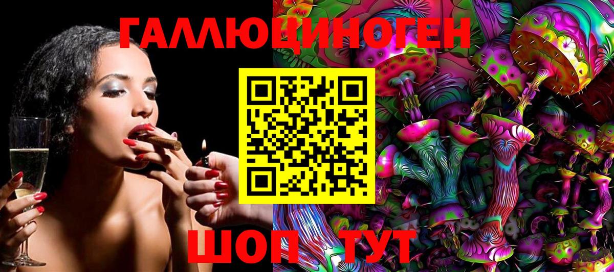 Свободный  Галлюциногенные грибы Cubensis  Вход с VPN 